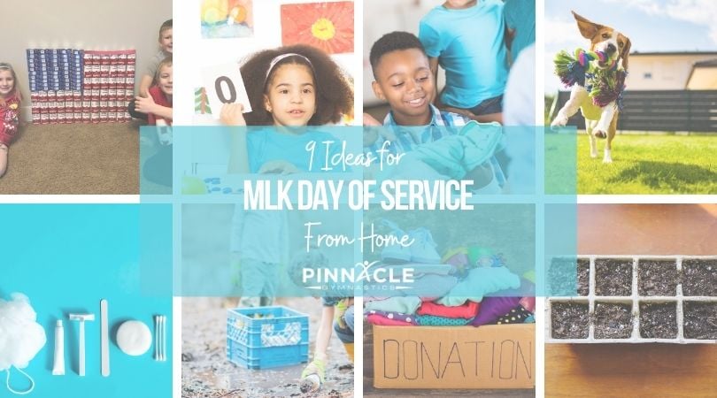 9 Ideas for MLK Day of Service from Home
